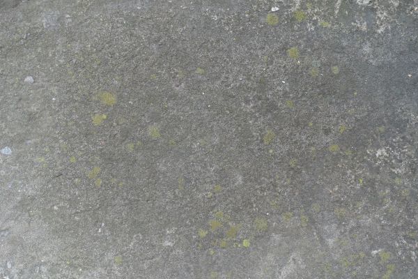 Cost of Slab Staining Service in Brownsburg